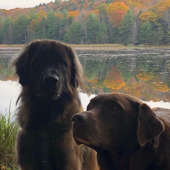 Meet your Posher, Heather - Picture 1 of 1